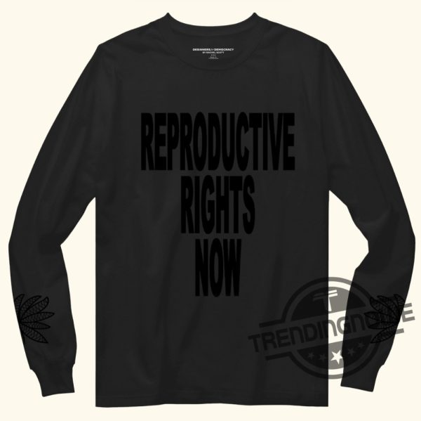 Rachel Scott Reproductive Rights Shirt Human Rights T Shirt Kamala Harris Campaign Shirt Harris Walz T Shirt trendingnowe.com 2