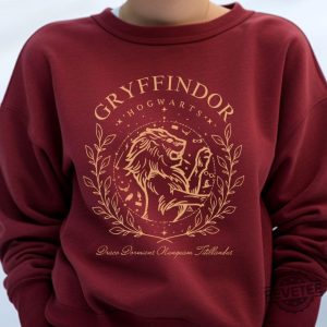 Harry Potter Shirt House Slytherin Shirt Gryffindor Shirt Ravenclaw Shirt Hufflepuff Shirt Gryffindor Sweater revetee 2