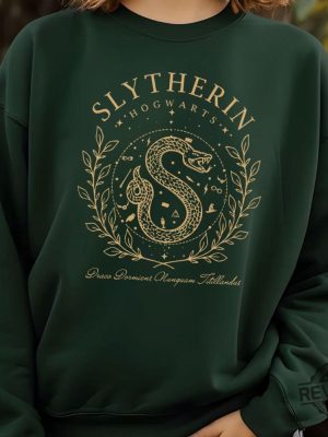 Harry Potter Shirt House Slytherin Shirt Gryffindor Shirt Ravenclaw Shirt Hufflepuff Shirt Gryffindor Sweater revetee 7