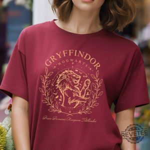 Harry Potter Shirt House Slytherin Shirt Gryffindor Shirt Ravenclaw Shirt Hufflepuff Shirt Gryffindor Sweater revetee 9