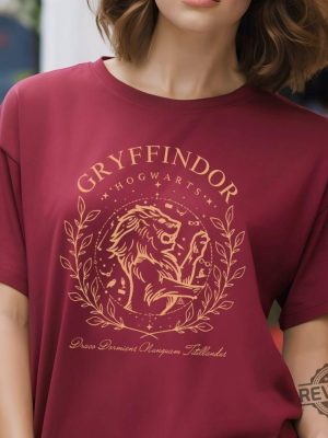 Harry Potter Shirt House Slytherin Shirt Gryffindor Shirt Ravenclaw Shirt Hufflepuff Shirt Gryffindor Sweater revetee 9