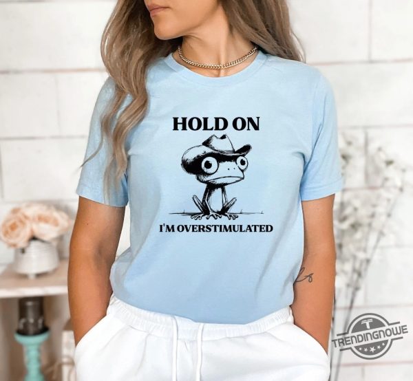 Hold On Partner Im Overstimulated Shirt V3 Hold On Im Overstimulated Frog Shirt Overstimulated Shirt Unhinged Sweatshirt trendingnowe 3