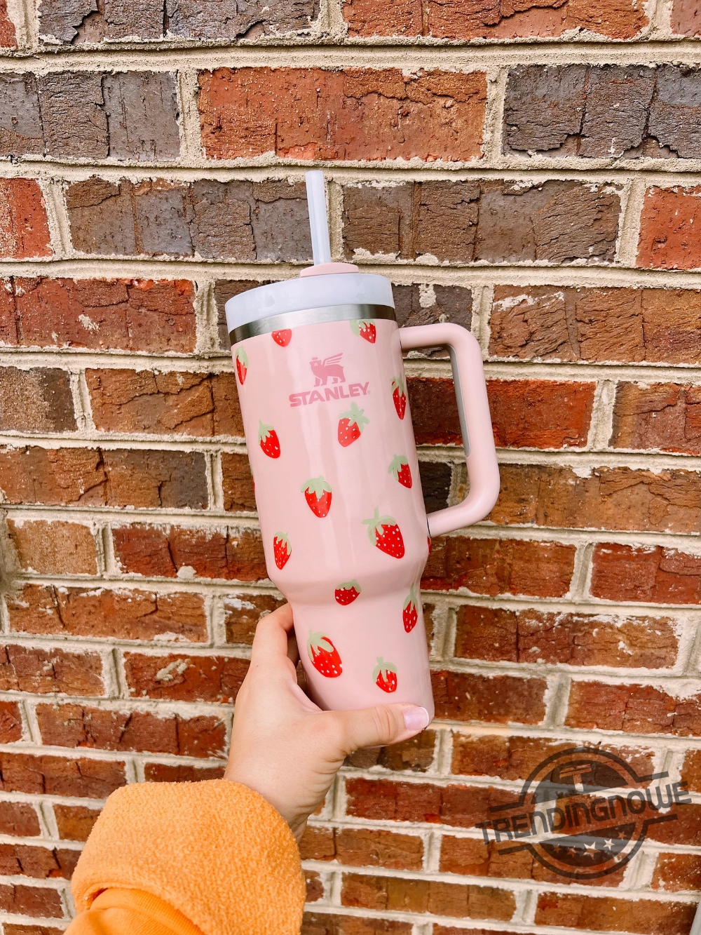 Strawberry Stanley Tumbler 40Oz 30Oz Stanley Cup