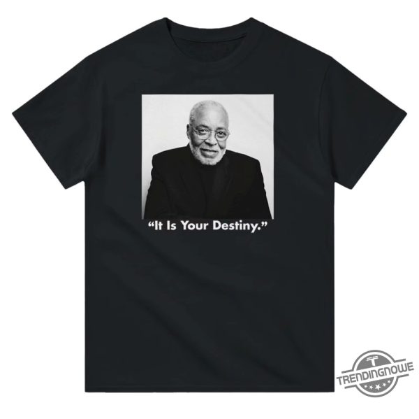 James Earl Jones It Is Your Destiny Shirt James Earl Jones Shirt Darth Vader James T Shirt James Earl Jones Death trendingnowe 1