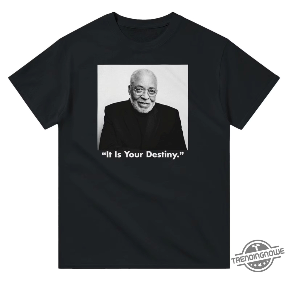 James Earl Jones It Is Your Destiny Shirt James Earl Jones Shirt Darth Vader James T Shirt James Earl Jones Death