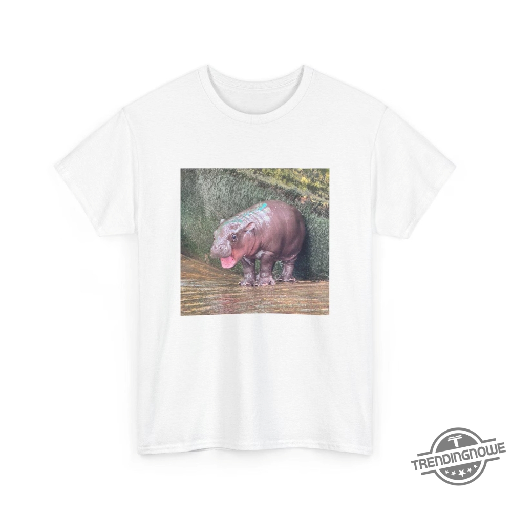 Cute Moo Deng T Shirt Sweatshirt Hoodie Cute Baby Hippo Shirt Moo Deng Bouncy Pig T Shirt