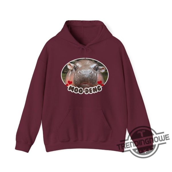 Moo Deng Baby Hippo Hoodie Animal Lover Sweatshirt Hippo Graphic Jumper Zoo Sweatshirt Baby Animal Hoodie Hippopotamus Hoodie trendingnowe 2