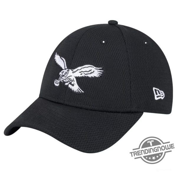 Philadelphia Eagles Throwback Hat Eagles Classic Hat Gift For Fan trendingnowe 1