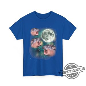 Three Moon Deng Moon Shirt Moo Deng T Shirt Baby Hippo Meme Funny Cute Hippopotamus Animal T Shirt trendingnowe 3