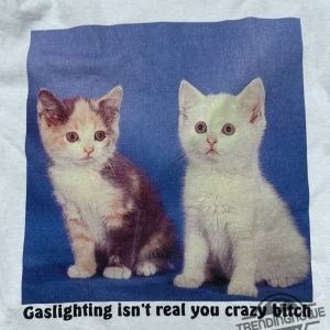 Gaslighting Isnt Real You Crazy Bitch Shirt Sweatshirt Hoodie trendingnowe 3