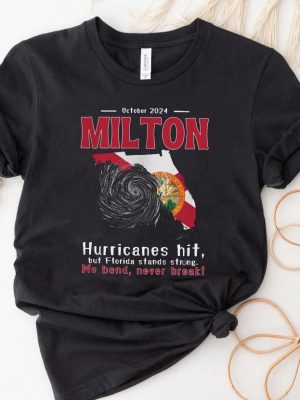 I Survived Hurricane Milton Shirt Hurricane Milton Shirt Survivor Hurricane Season 2024 Shirt Hoodie Sweatshirt revetee 3