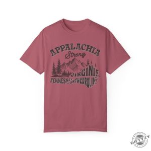 Appalachia Strong Hurricane Helene Southern Tshirt Hurricane Strong States Sweatshirt Virginia Tennessee North Carolina Shirt giftyzy 4