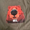 Official Hi Bye Bear Shirt trendingnowe 2