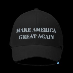 dark maga embroidered baseball hat worn by elon musk rallies onstage with trump in pennsylvania laughinks 1