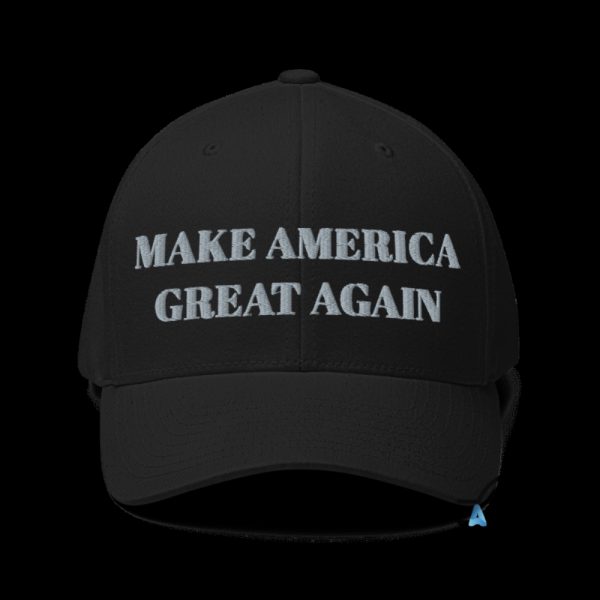 dark maga embroidered baseball hat worn by elon musk rallies onstage with trump in pennsylvania laughinks 1