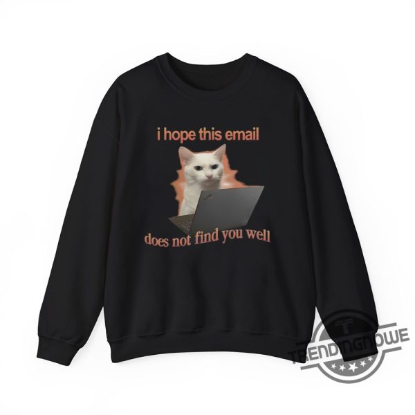 I Hope This Email Does Not Find You Well Cat T Shirt Sarcastic And Funny Tee For Cat Lovers trendingnowe 1