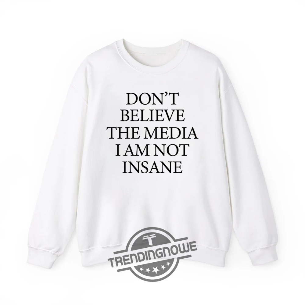 Dont Believe The Media I Am Not Insane Shirt  Edgy Statement Tee On Media Perception