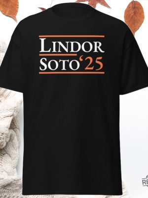 Lindor Soto 2025 New York Mets T Shirt Hoodie Sweatshirt Gift For New York Baseball Fan Juan Soto Mets Shirt Tshirt Gifts For Fan Unique revetee 4