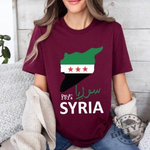 Liberation Of Syria Sweatshirt Free Syria Tshirt Political Activism Tee Support Syrian Freedom Hoodie Syrian Pride Apparel Human Rights Shirt giftyzy 6