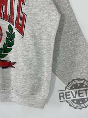 Vintage 90S Ohio State University Sweatshirt Hoodie T Shirt Retro Crewneck Sweater Pullover Ohio State Buckeyes Logo Gifts For Fan Unique revetee 2