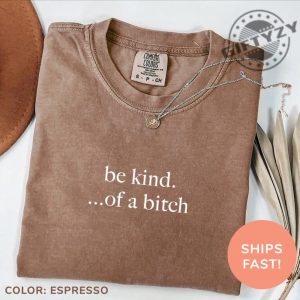 Be Kind Of A Bitch Shirt Sarcastic Sweatshirt Funny Humor Tshirt Sarcasm Hoodie Funny Quote Tee Funny Shirt For Women giftyzy 4