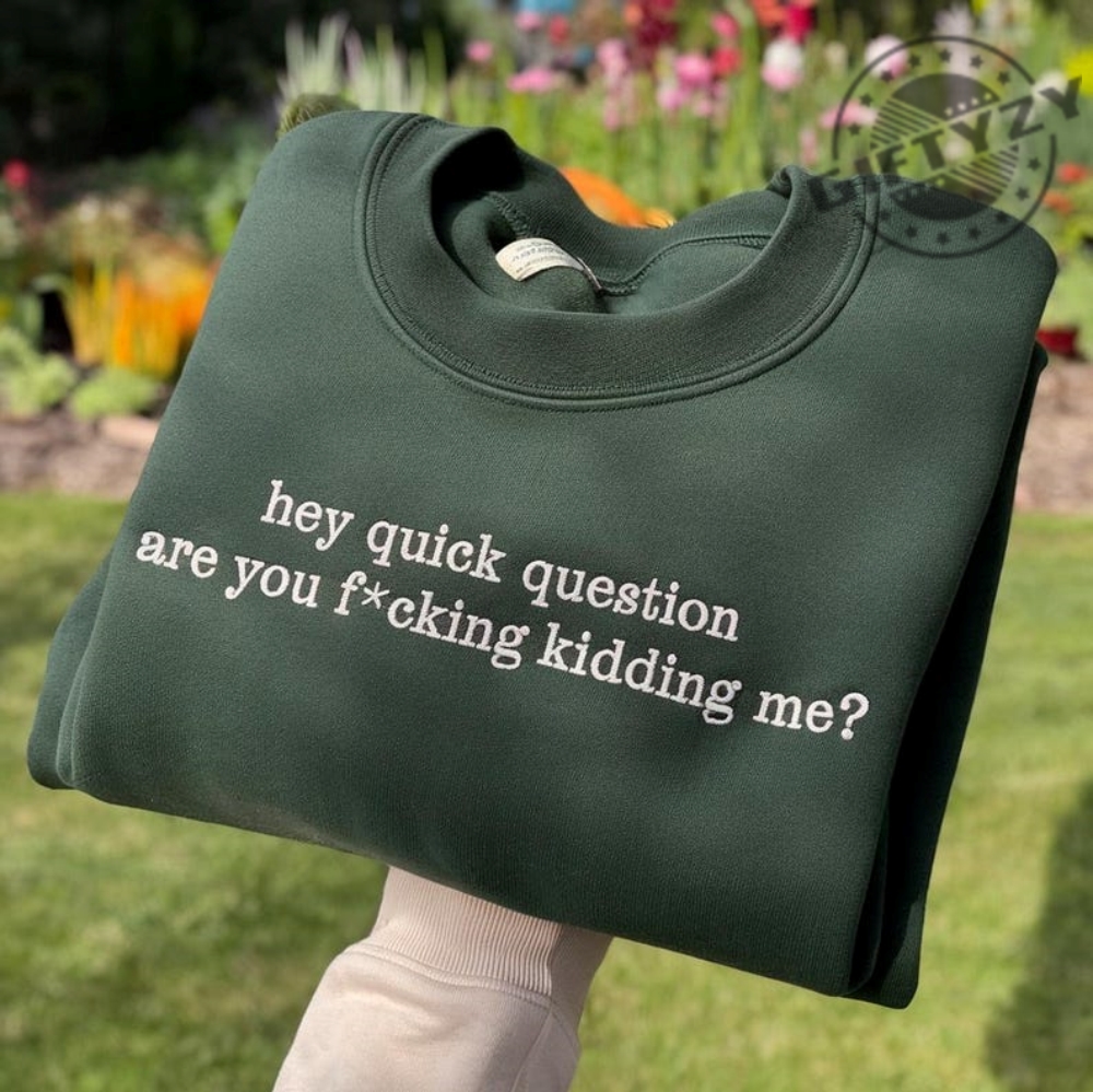 Hey Quick Question Are You Kidding Me Embroidered Sweatshirt Funny Humor Tshirt Funny Girls Hoodie Sarcasm Shirt