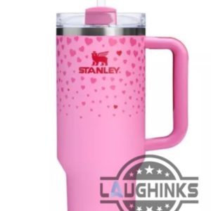 2025 valentines day stanley cup dupe 40oz