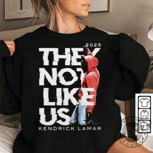 Kendrick Lamar Hoodie They Not Like Us Tshirt giftyzy 2