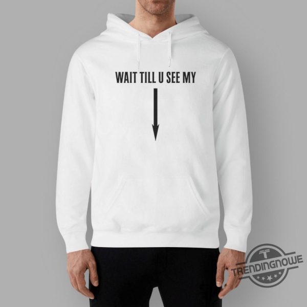 Drake Wait Till U See My T Shirt trendingnowe 3