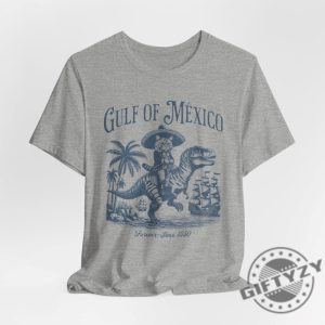 Gulf Of Mexico Funny Pirate Cat Shirt giftyzy 9