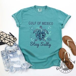 Sea Turtle Gulf Of Mexico Funny Tee giftyzy 5