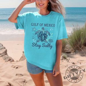 Sea Turtle Gulf Of Mexico Funny Tee giftyzy 7