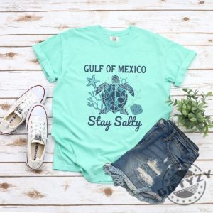 Sea Turtle Gulf Of Mexico Funny Tee giftyzy 8