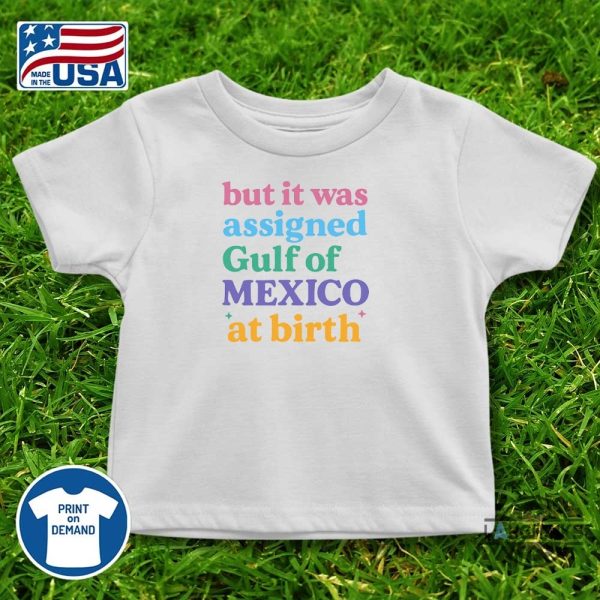 but it was assigned gulf of mexico at birth shirt