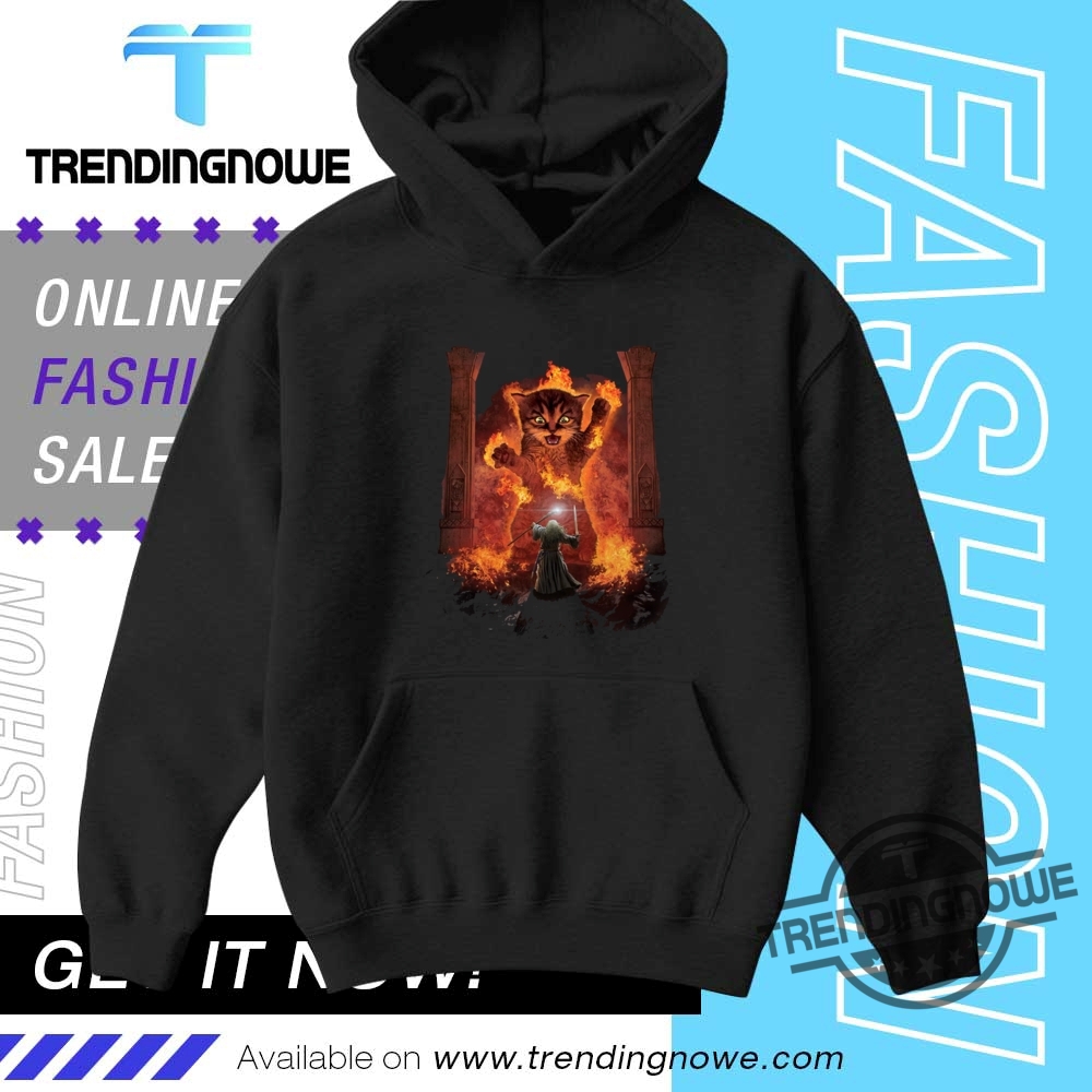 Cats Kittens Kitty You Shall Not Pass Fire Flames Gandalf Catdalf Frodo Lord Of The Rings Shirt 9 Cats Kittens Kitty You Shall Not Pass Fire Flames Gandalf Catdalf Frodo Lord of the Rings Shirt