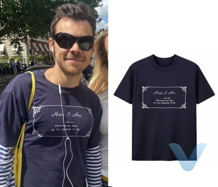 Harry Styles Vintage Charming & Sexy T shirt from sarahhendler
