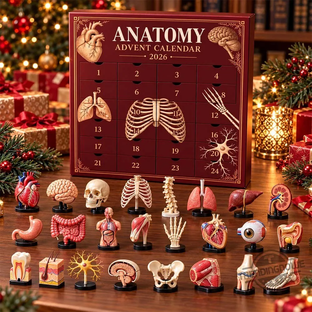 2026 Anatomy Advent Calendar with 24 Mini Human Organ And Skeleton Models 5 2026 Anatomy Advent Calendar with 24 Mini Human Organ And Skeleton Models
