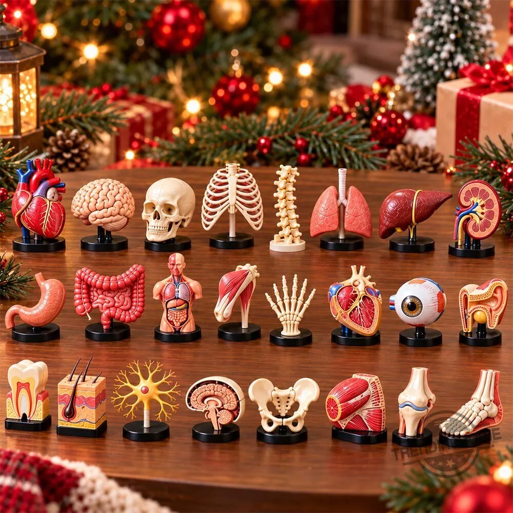 2026 Anatomy Advent Calendar with 24 Mini Human Organ And Skeleton Models 7 2026 Anatomy Advent Calendar with 24 Mini Human Organ And Skeleton Models