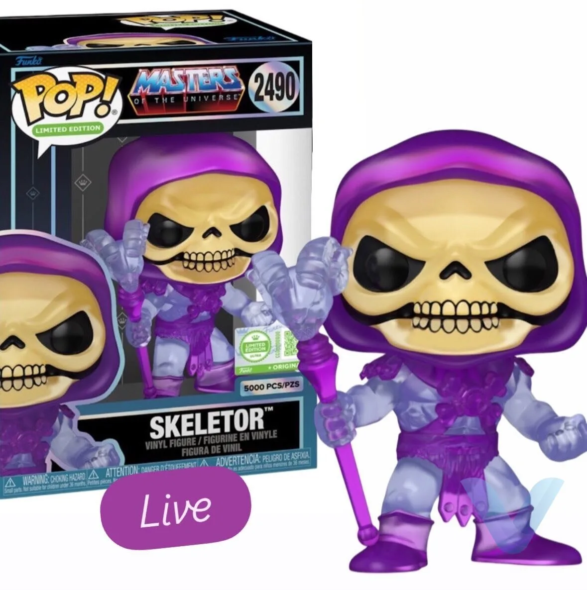 Skeletor Translucent Protector Masters of the Universe Funko Pop Figure