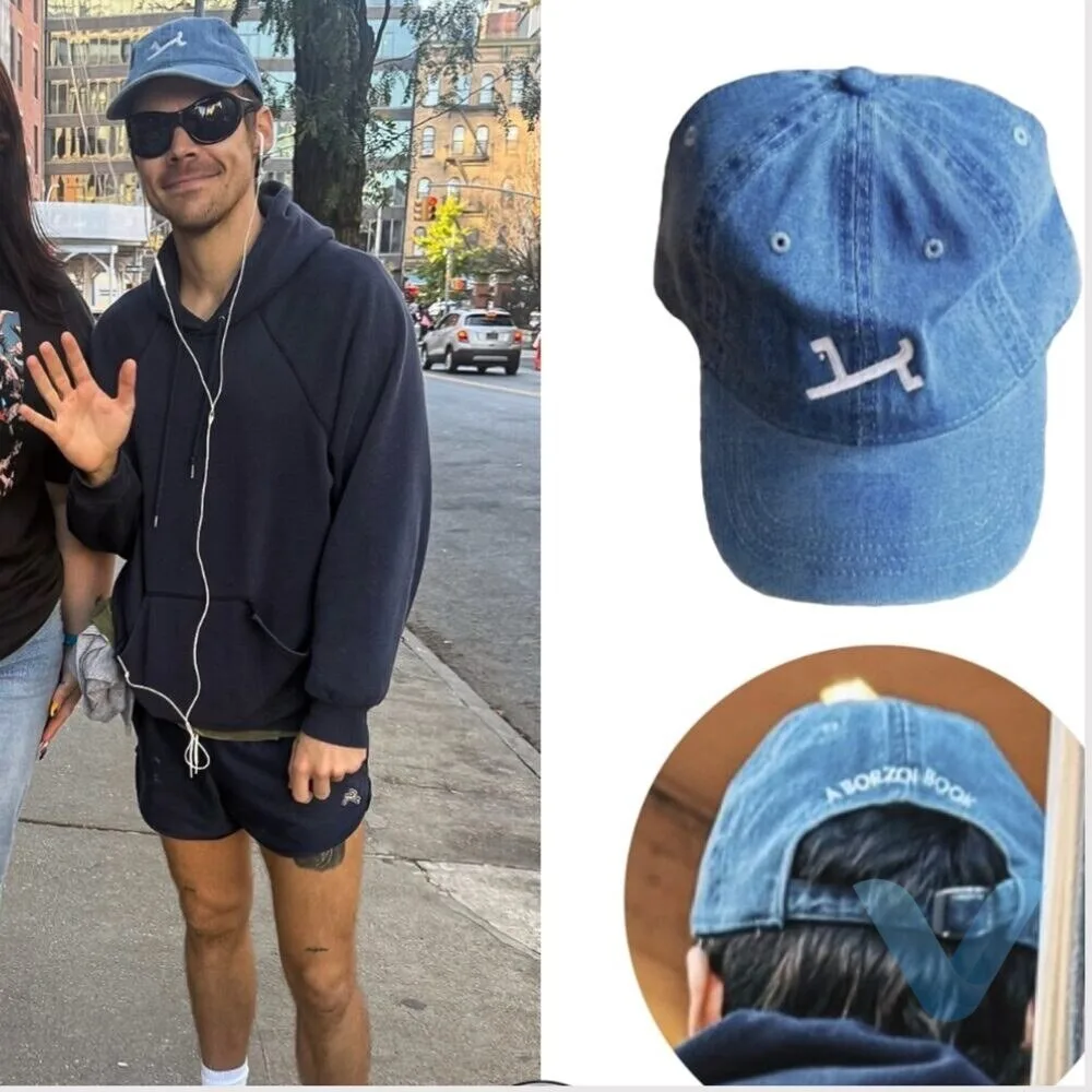 Harry Styles A Borzoi Book Hat gift cap 8 Harry Styles A Borzoi Book Hat gift cap